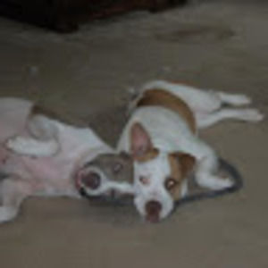 Meet your Posher, Theresa